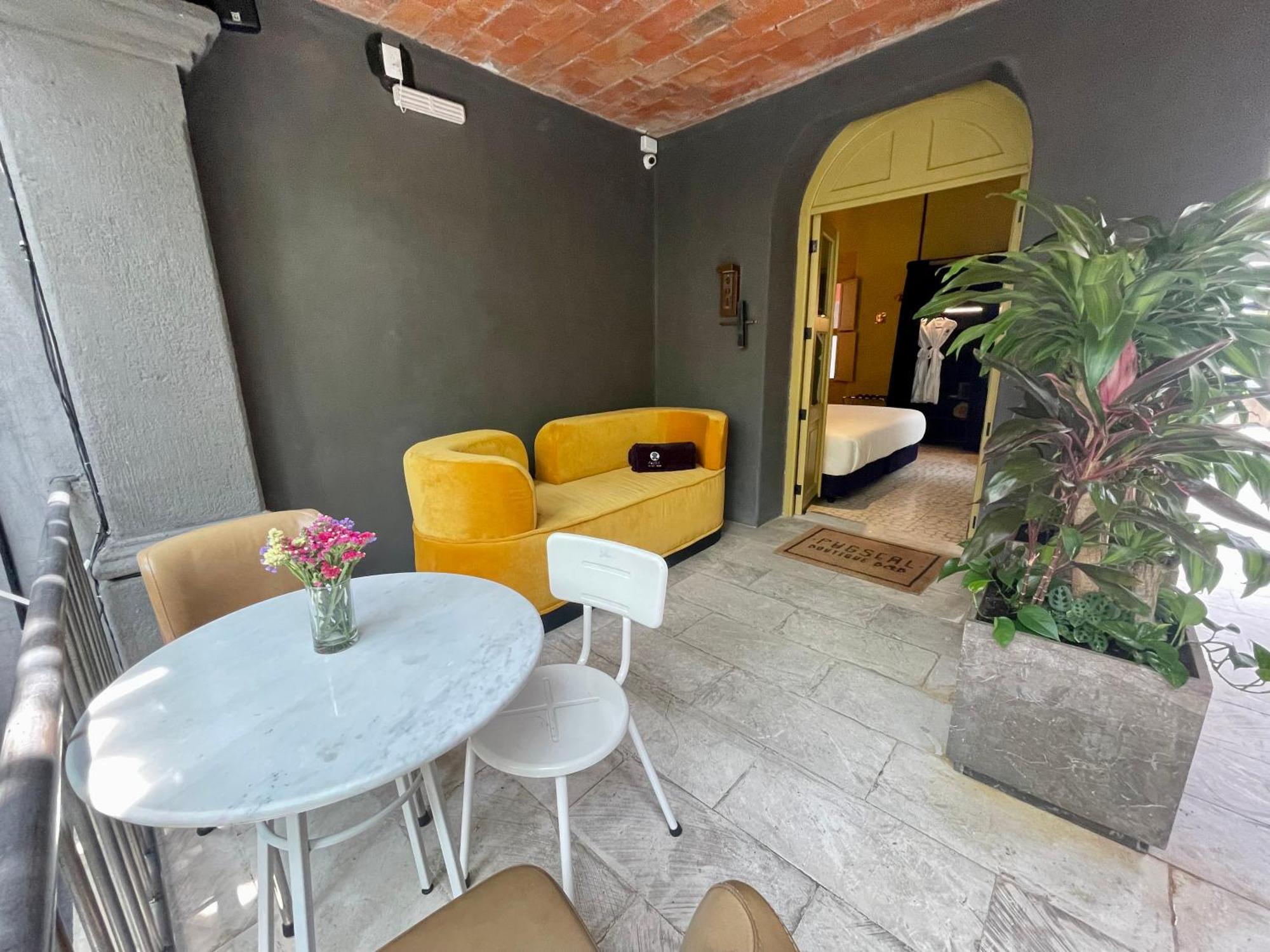 Pug Seal Oaxaca Hotell Rum bild